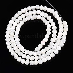 Нити бусин из натуральных трохоидных/трохус ракушек SSHEL-N040-07