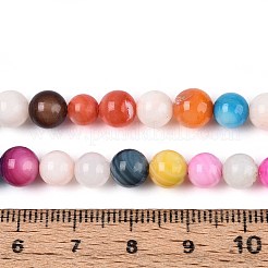 Нити бусин из пресноводных ракушек X-SHEL-T013-003