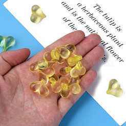 Прозрачные акриловые бусины&nbsp;MACR-S373-70-B03