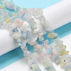 Природные морганит нитей бисера&nbsp;G-S363-021-01