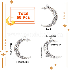 50 шт. подвески-шармы из сплава в тибетском стиле с двумя петлями&nbsp;TIBE-SC0009-30