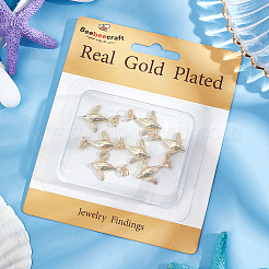 10шт латунные подвески&nbsp;KK-BBC0011-50