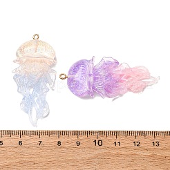 Прозрачные смоляные подвески RESI-H039-04P