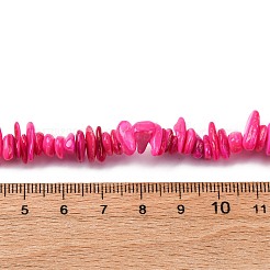 Нити бусин из натуральных пресноводных ракушек&nbsp;BSHE-I016-01G