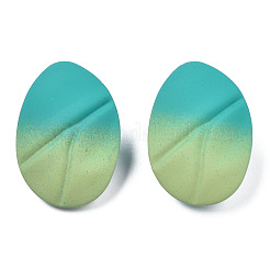 Окрашенные спрей железные серьги&nbsp;IFIN-N008-021A