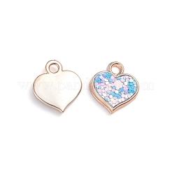 Пластмассовые подвески ccb CCB-TAC0001-03C