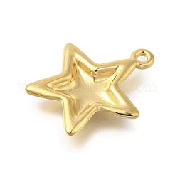 Подвески из нержавеющей стали 304&nbsp;LS-STAS-U027-03G-02