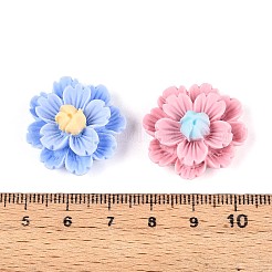 Смола декодирует кабошоны&nbsp;CRES-T025-04M