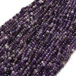 Природный аметист нитей бисера G-RM2025526-A04-6mm