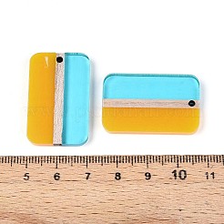 Прозрачные подвески из смолы и дерева RESI-T057-75