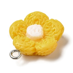 Подвески из непрозрачной смолы&nbsp;RESI-L038-01P-05