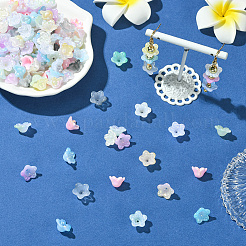 480шт 12 цвета акриловые колпачки для бусин OACR-SC0002-31