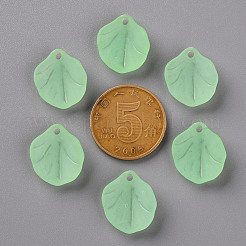 Прозрачные матовые акриловые подвески&nbsp;MACR-S371-02A-733