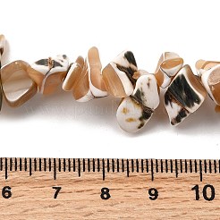 Нити бусин из натуральных трохоидных/трохус ракушек SHEL-B003-02A