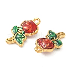 Подвески из нержавеющей стали 304 с эмалью&nbsp;STAS-I346-17G-01