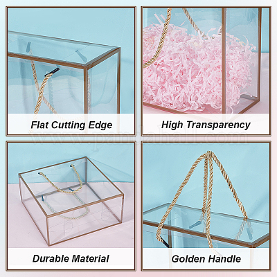 Прозрачная подарочная коробка из пластика для животных AJEW-WH0166-06A-02-1