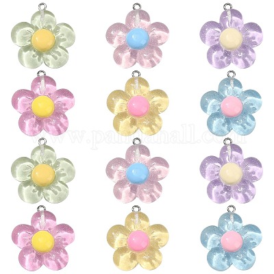 60шт 6 цвета подвески из полупрозрачной смолы RESI-CJ0003-61-1