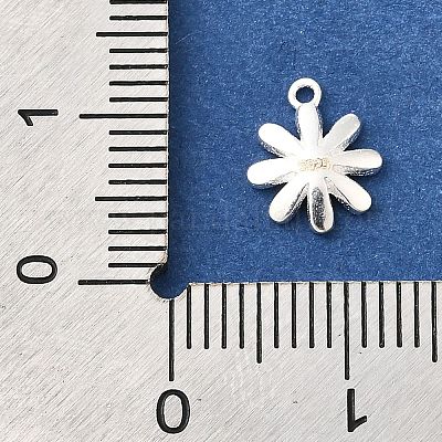 925 серебряный шарм STER-F059-06S-1