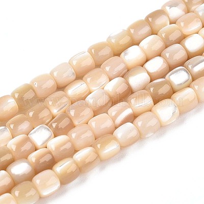 Нити бусин из натуральных трохоидных/трохус ракушек SSHEL-N040-12-1