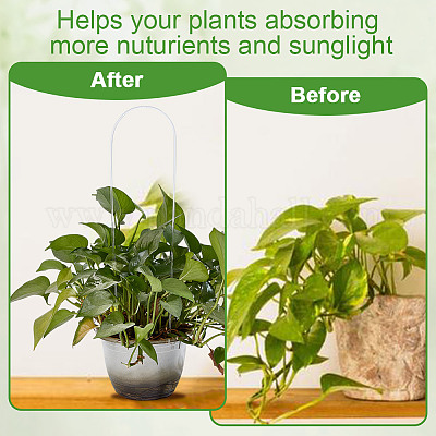 10 шт. акриловая опора для роста растений DIY-DR0002-37-1