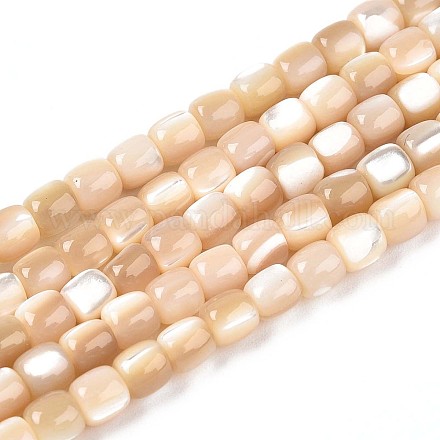 Нити бусин из натуральных трохоидных/трохус ракушек SSHEL-N040-12-1