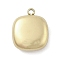 316 Surgical Stainless Steel Charms, Real 18K Gold Plated, Square, 14x11.5x4.5mm, Hole: 1.4mm