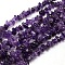 Natural Amethyst Chips Beads Strands, 8~14x4~8x3~6mm, Hole: 1mm, about 15~16 inch