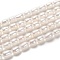 Natural Cultured Freshwater Pearl Beads Strands, Rice, Bisque, 6~9x4~5mm, Hole: 0.5mm, about 45pcs/strand, 14.37 inch(36.5cm)