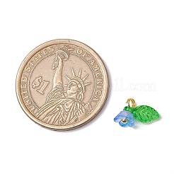 11 шт. подвески из прозрачного акрила с цветами&nbsp;PALLOY-JF03585