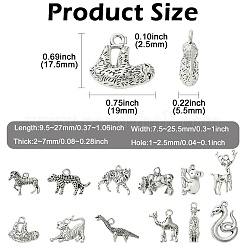 60шт 12 стиля подвески из сплава в тибетском стиле&nbsp;TIBE-CJ0001-36