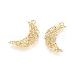 Латунные подвески&nbsp;KK-G389-13G