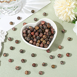 120 шт. нити бусин из натуральной яшмы леопардовой кожи G-PA0001-22B