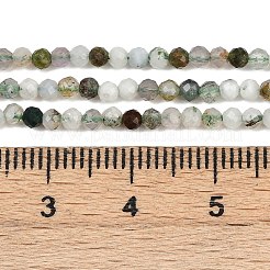 Природные моховой агат бисер нитей&nbsp;G-RM2025-A33-2mm