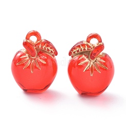 Прозрачные акриловые подвески OACR-P007-07