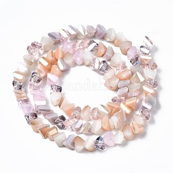 Стеклянные бусины с гальваническим покрытием &nbsp;X-EGLA-N002-06J