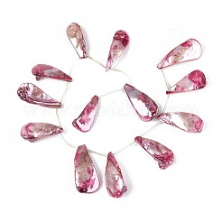 Нити бусин из натуральных пресноводных ракушек SHEL-T020-55A