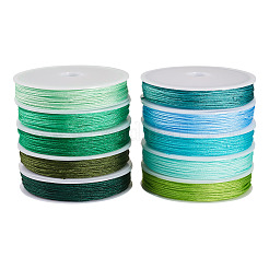 10шт. 10-х цветный полиэфирный шнур&nbsp;OCOR-TAC0040-01C