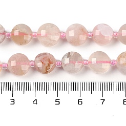 Натуральные вишневые агатовые бусины G-B094-A02-01