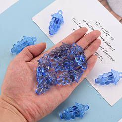 Осенняя тема прозрачные акриловые бусины&nbsp;TACR-S154-60B-940