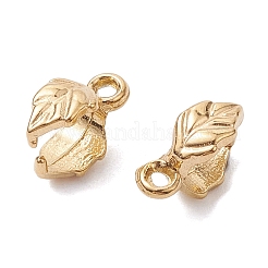 Ионное покрытие (ip) 304 нержавеющая сталь ледоруб зажимные скобы STAS-K277-05A-G