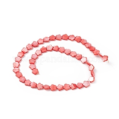 Натуральные пресноводные окрашенные бусы из ракушек&nbsp;SHEL-K001-001B