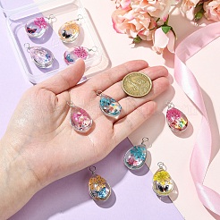 10шт прозрачные стеклянные подвески&nbsp;GLAA-YW0004-27