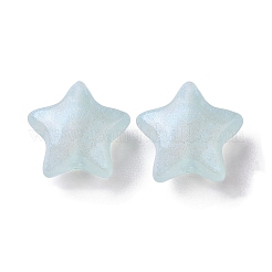 Светящиеся акриловые бусины&nbsp;X-OACR-E010-23