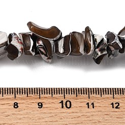 Нити бусин из натуральных трохоидных/трохус ракушек SHEL-B003-02