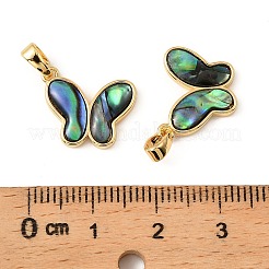 Подвески-бабочки из натуральной ракушки пауа KK-G538-15G-01