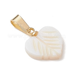 Природные подвески оболочки пресноводных&nbsp;PALLOY-JF05136