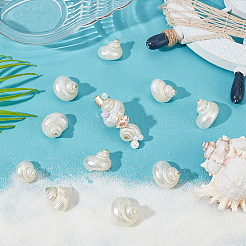 15 шт. мини-бусины из натуральной спиральной ракушки FIND-PH0026-80