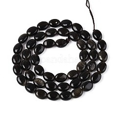 Естественный золотистый отлив обсидиан бисер пряди G-T142-32