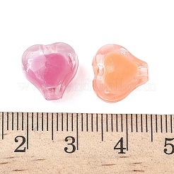 Прозрачные акриловые бусины OACR-D314-02