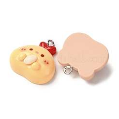 Подвески из непрозрачной смолы с животными&nbsp;RESI-Z043-05P